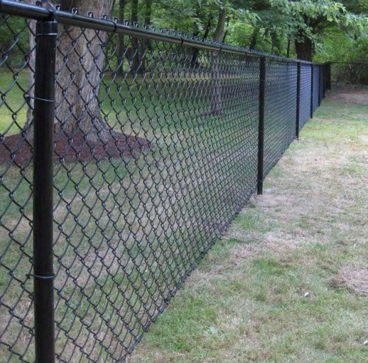 Black chain-link fence along a grassy yard