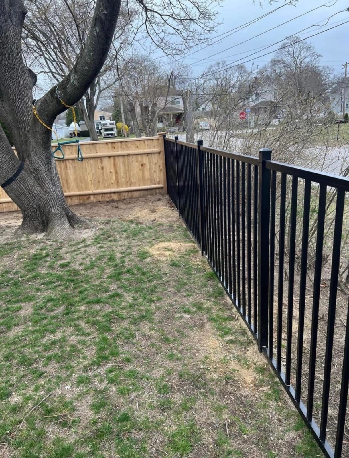 Black metal fence beside a residential yard